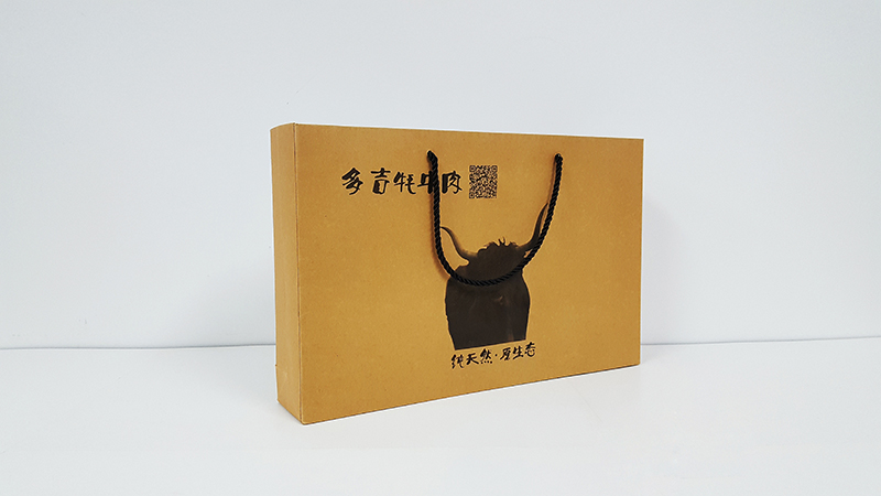 紙質手提袋，紙質手提袋訂做，訂做紙質手提袋（一）